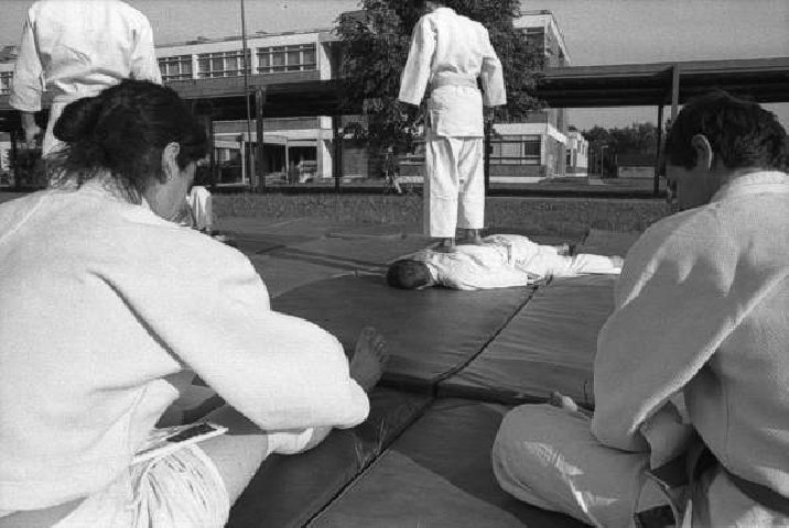 judo(8a)